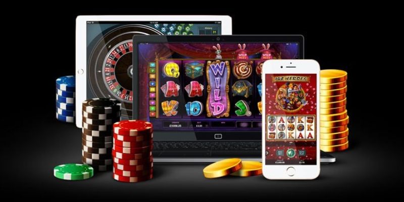 Quy trình diễn ra ván cược DG Casino tại Kubet